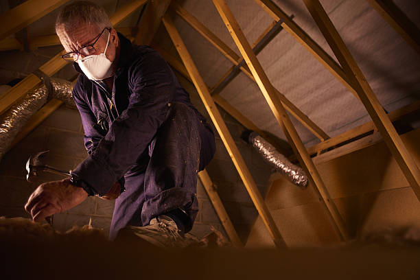 Best Cellulose Insulation in Mattydale, NY